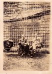Azai le Rideau Mars 1921