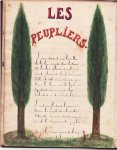 32 - Les peupliers